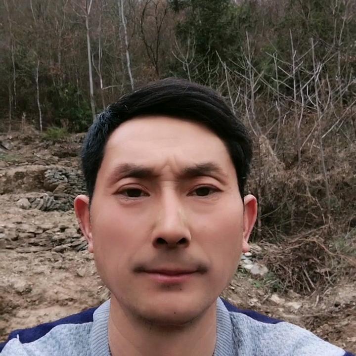 流浪江湖