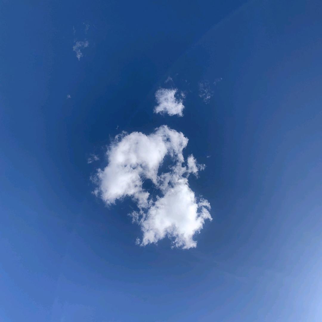 一句承诺