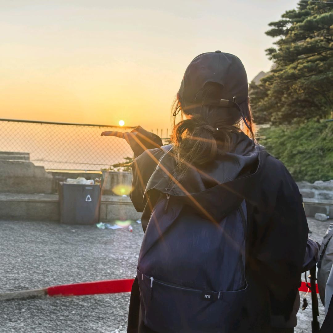 没没没没羊啊～