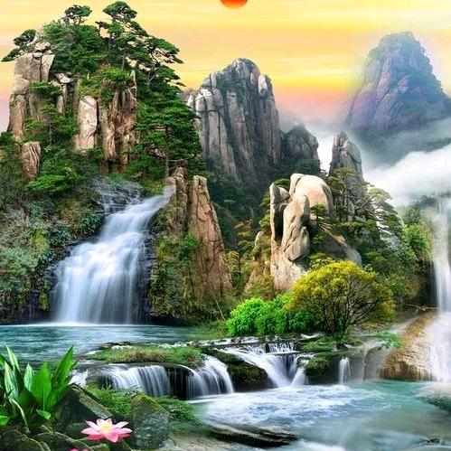 小海豚