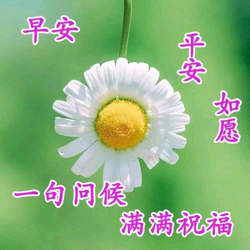葵花宝典