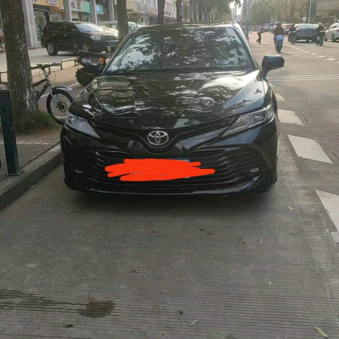 十李桃花一片