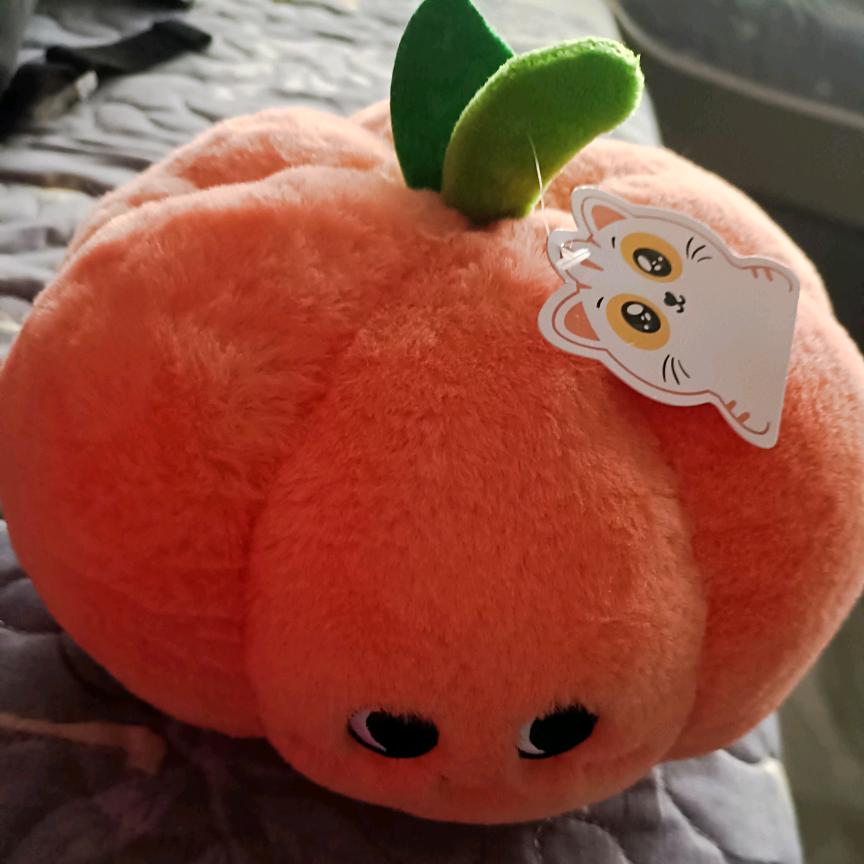 我想有个家