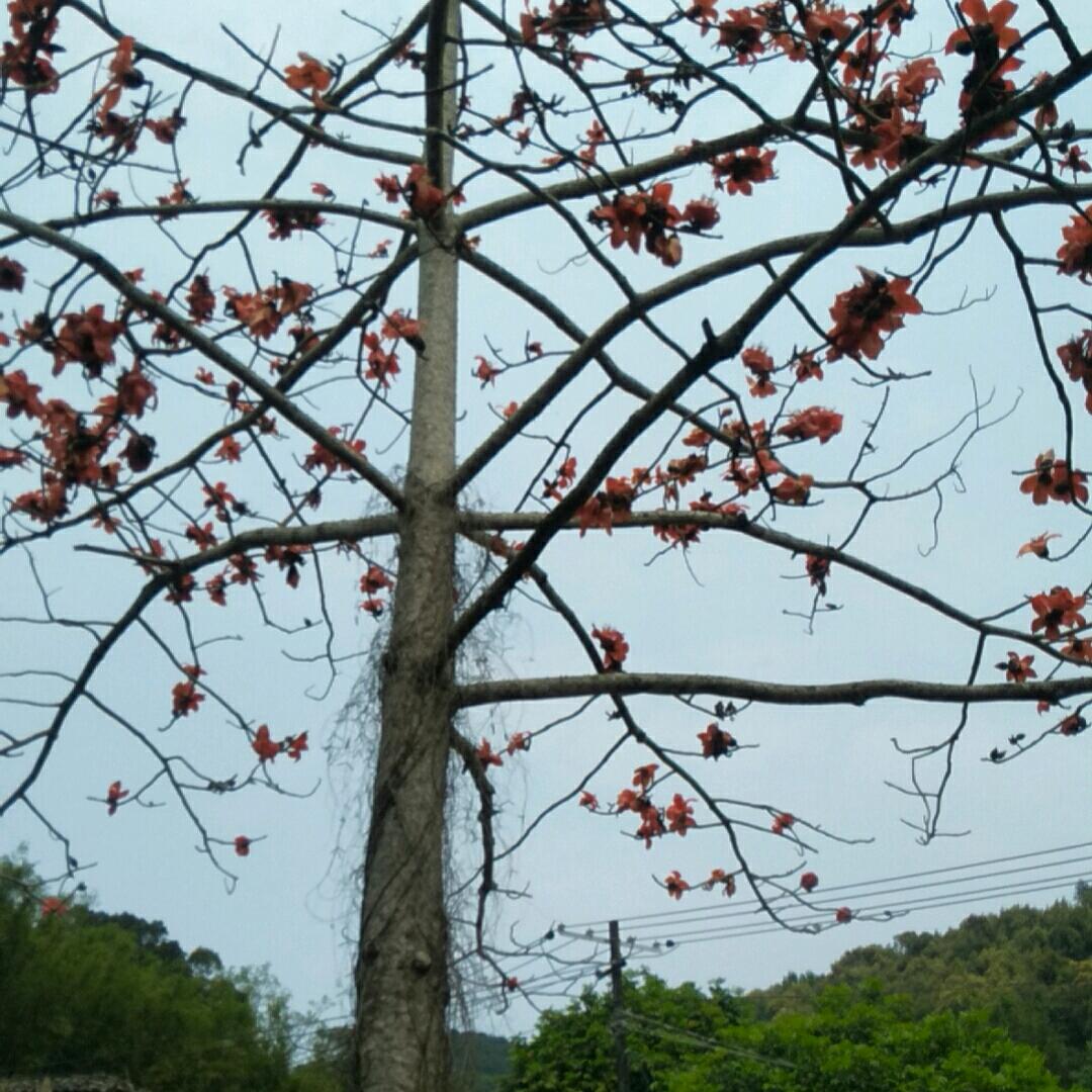 心静自然凉