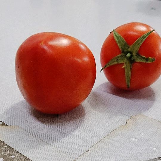 天气预报说明天有你