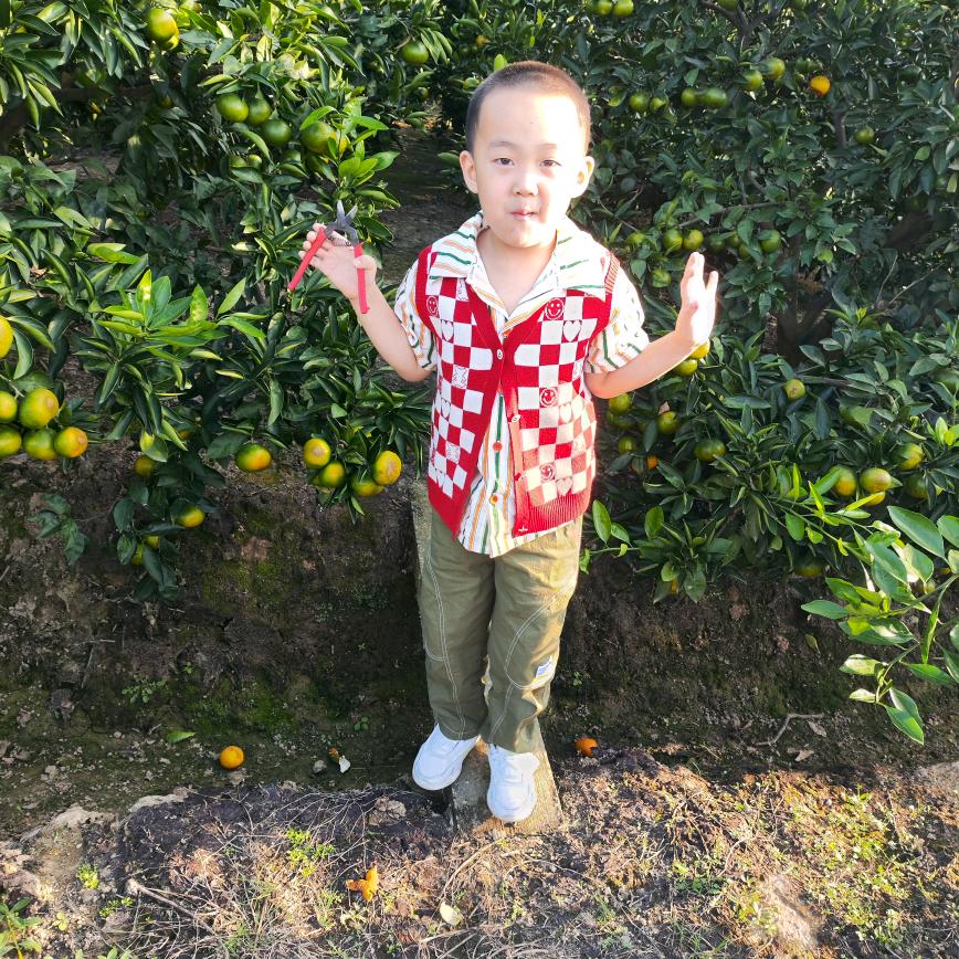 俩宝的妈妈