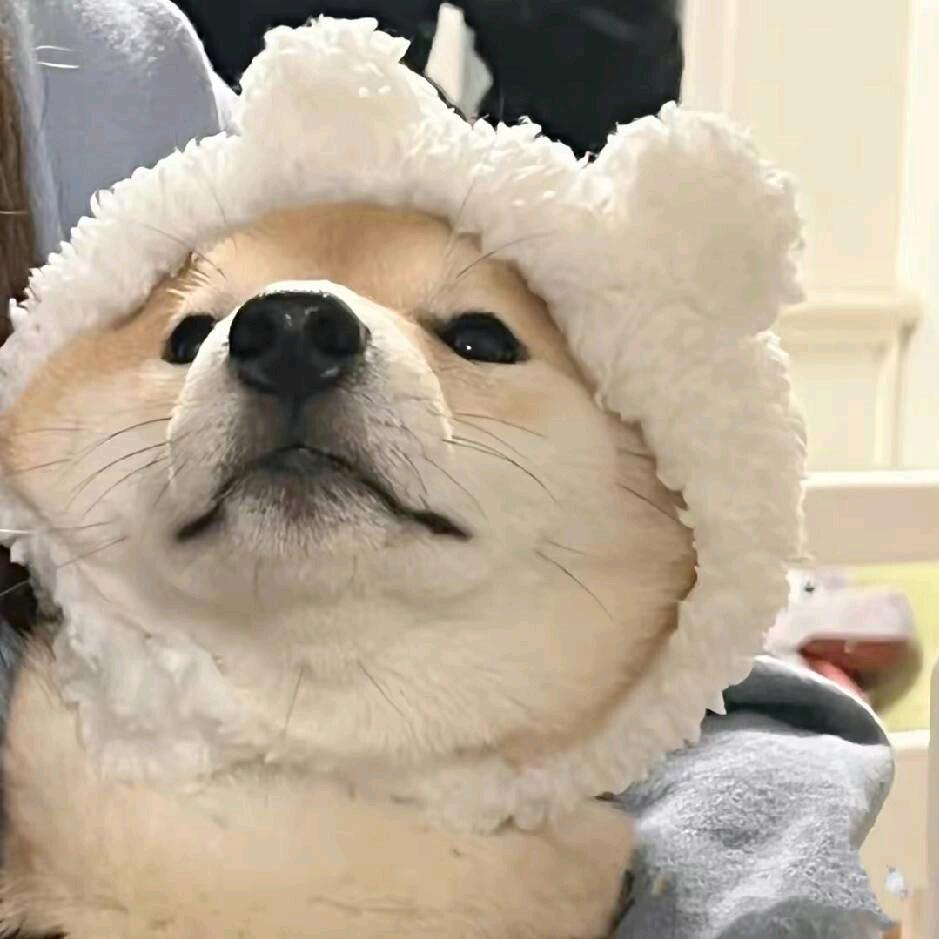 @别睡了💤