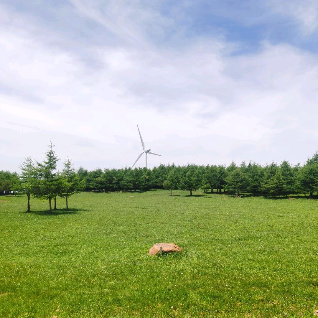 时光淡漠了初衷