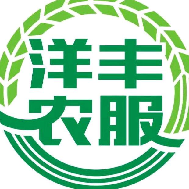 新洋丰葡萄妹