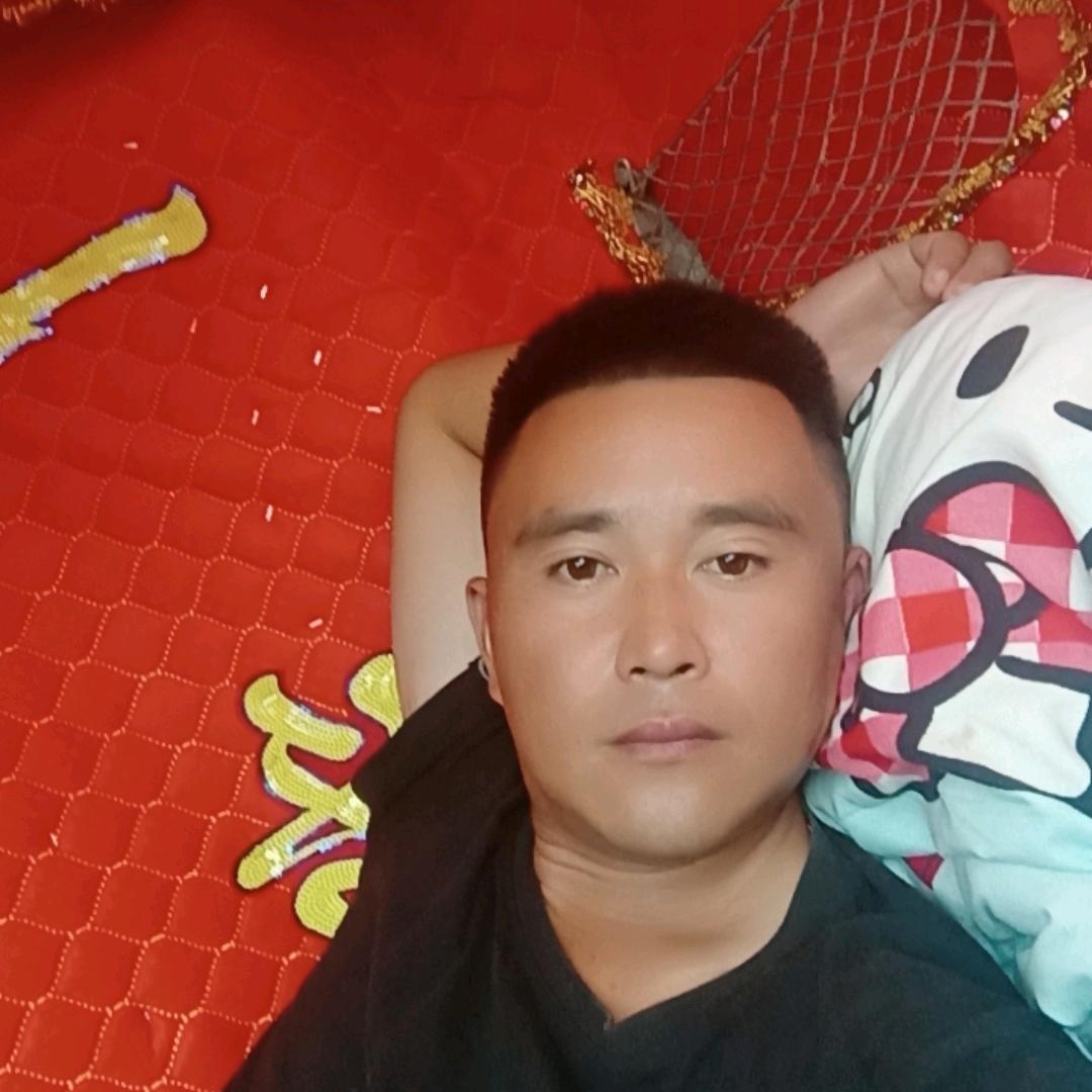 收割黄豆水稻