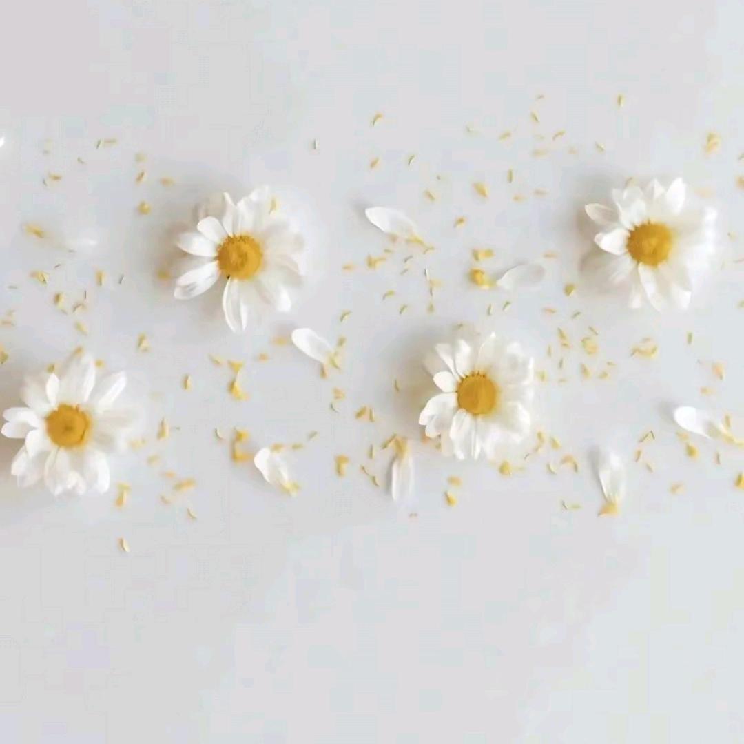 🫧🌼◡ᐝ