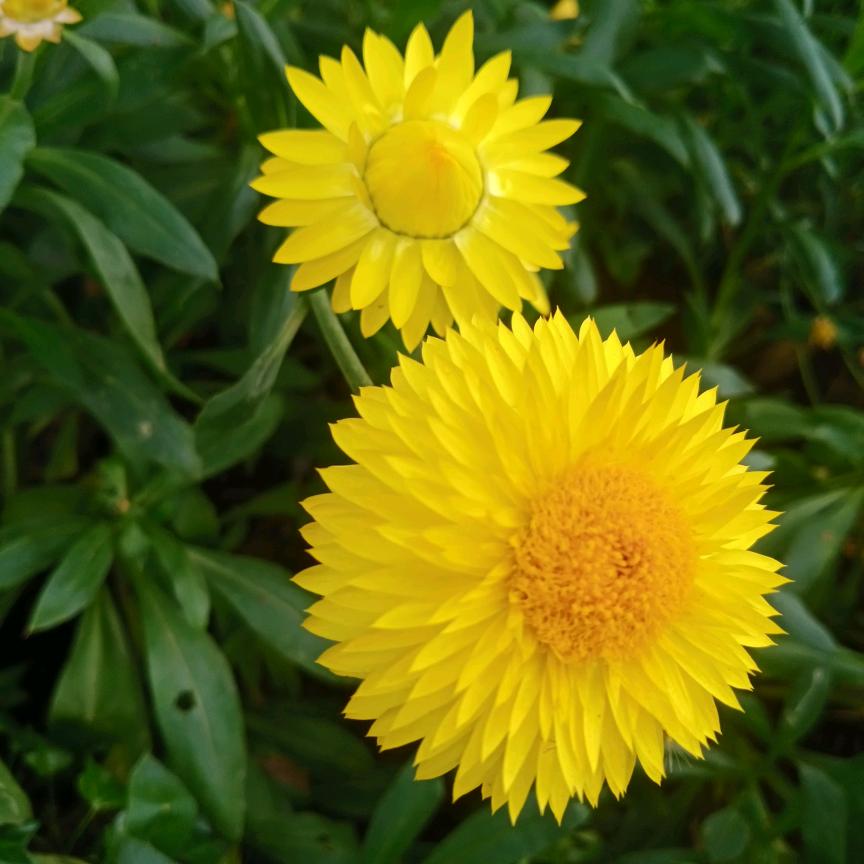 七夜生活小常识