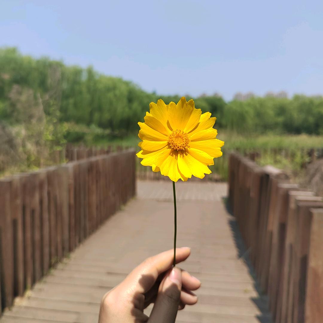 粉粉