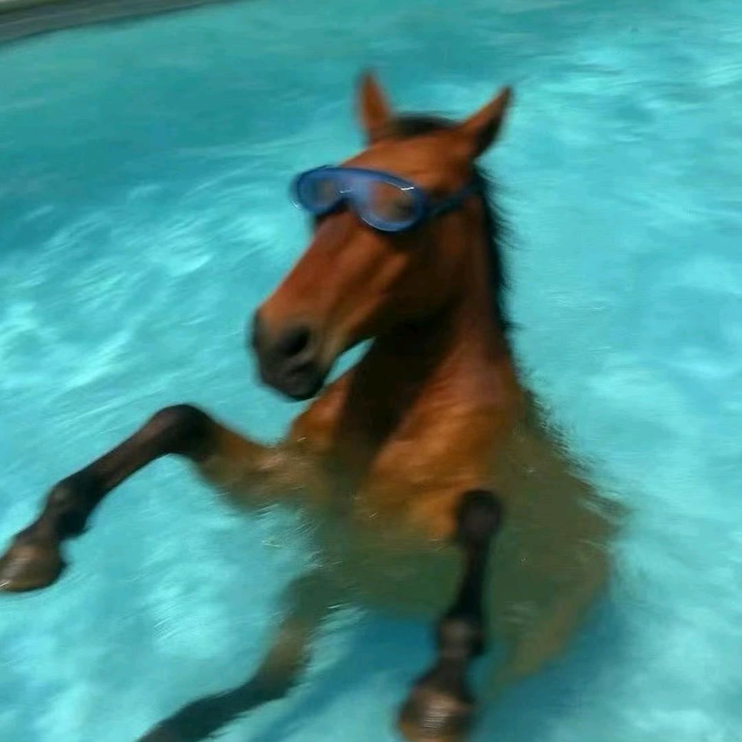 𝗭𝗛𝗔𝗡𝗚_