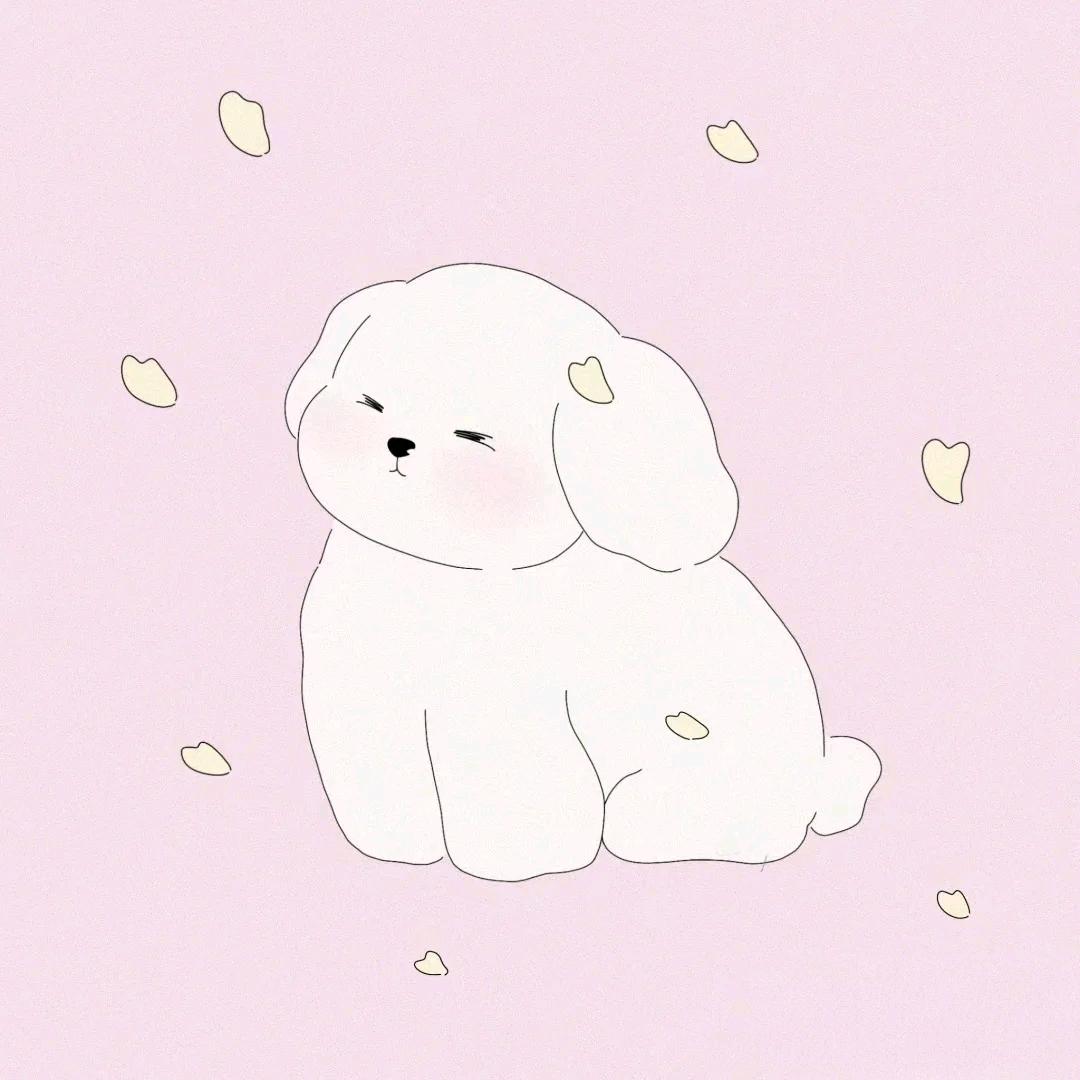 小T