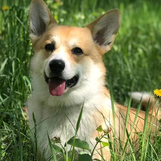 末日（首播）