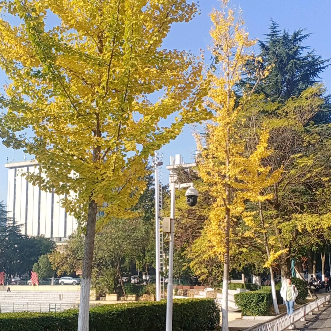 恍然如梦