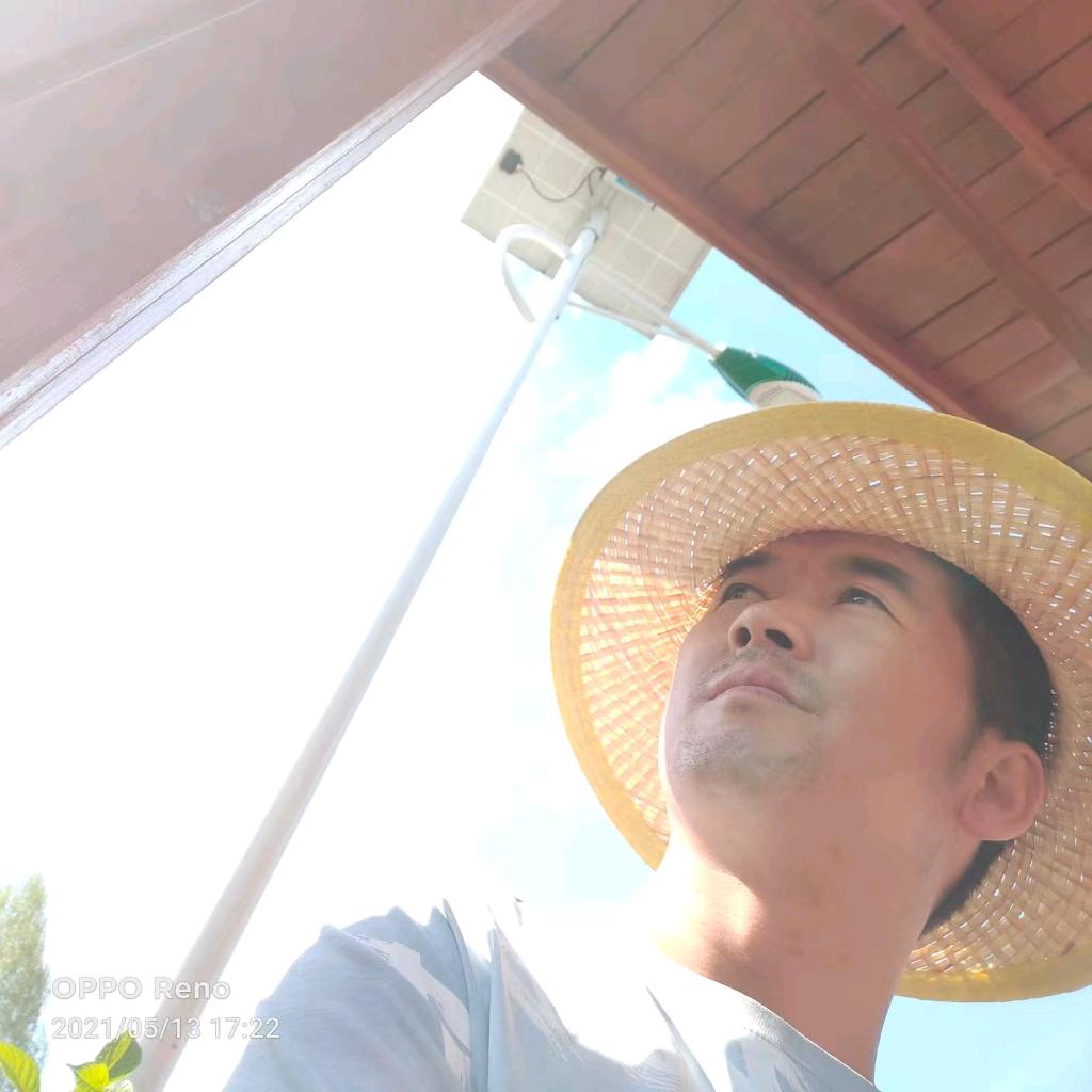 木又心