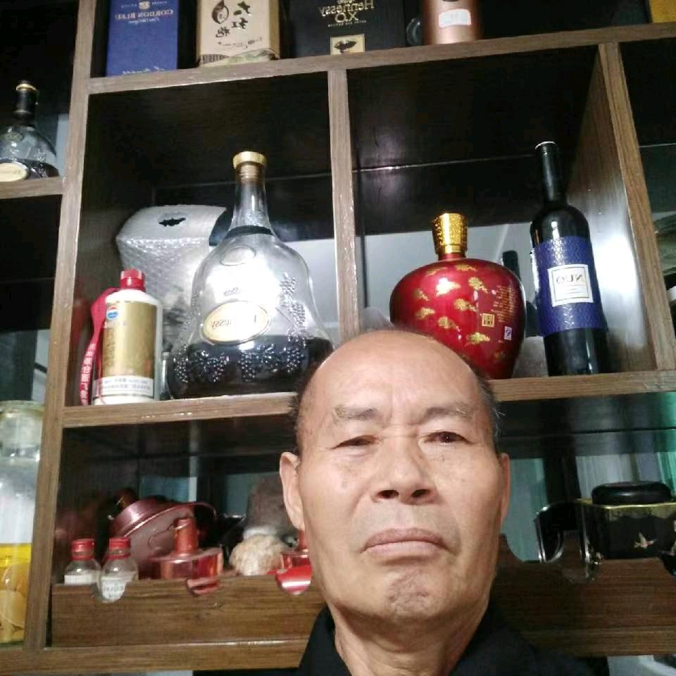 光辉灿烂2024