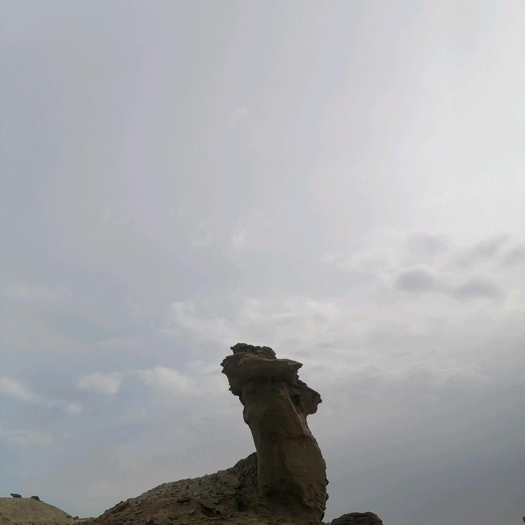 强海龙。