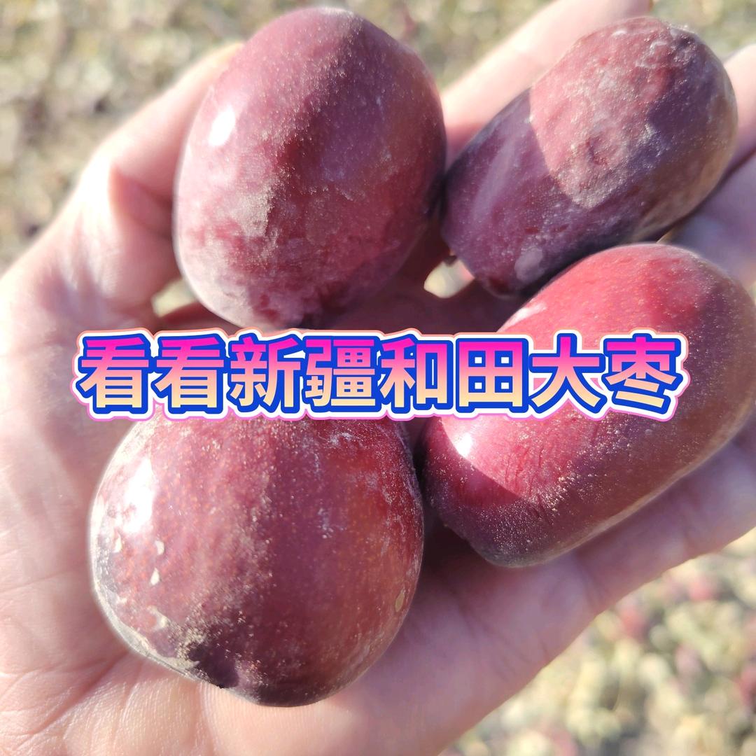 菏泽陈老四