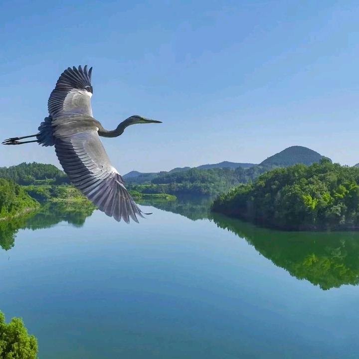 三生烟火  雨雨