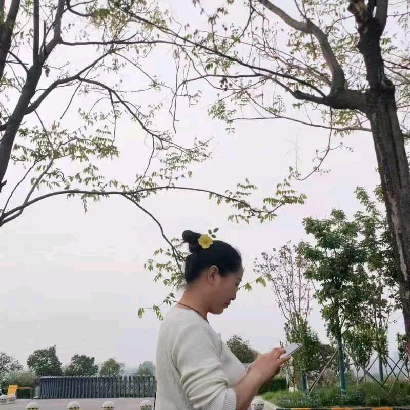 孤芳⚡自赏
