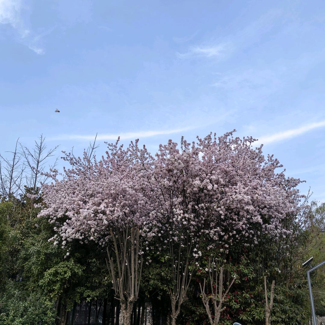 “”至尊宝宝”