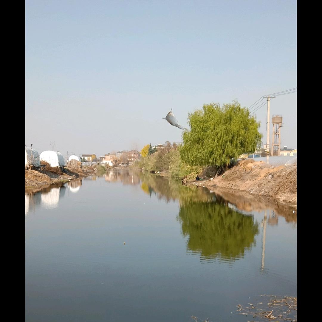 爱尚钓鱼🎣