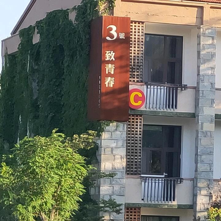 伟大伟