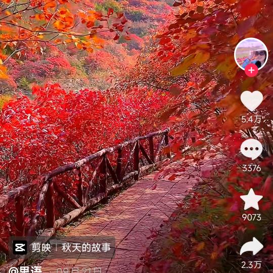 秋天的故事