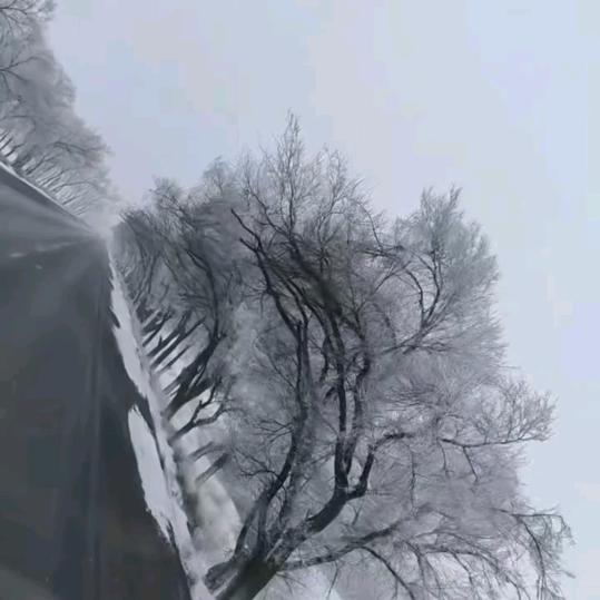 水中月