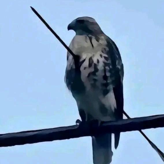 @再生资源 二手塑料托盘销售🦅🦅🦅