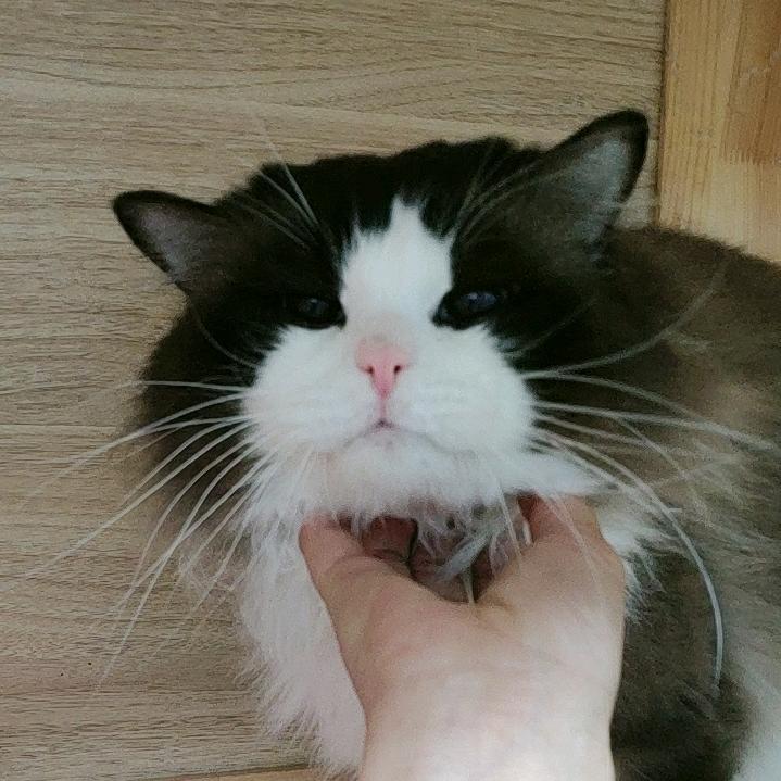 叶赫那拉