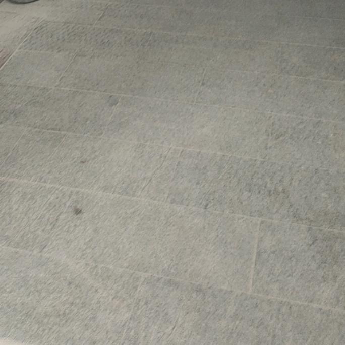 鸿瑶新梦
