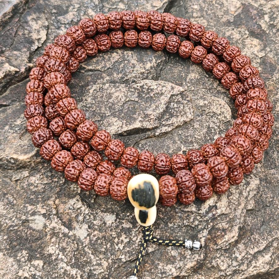 大哥哥的小姐姐