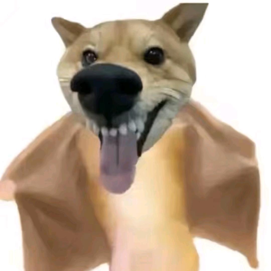久炘