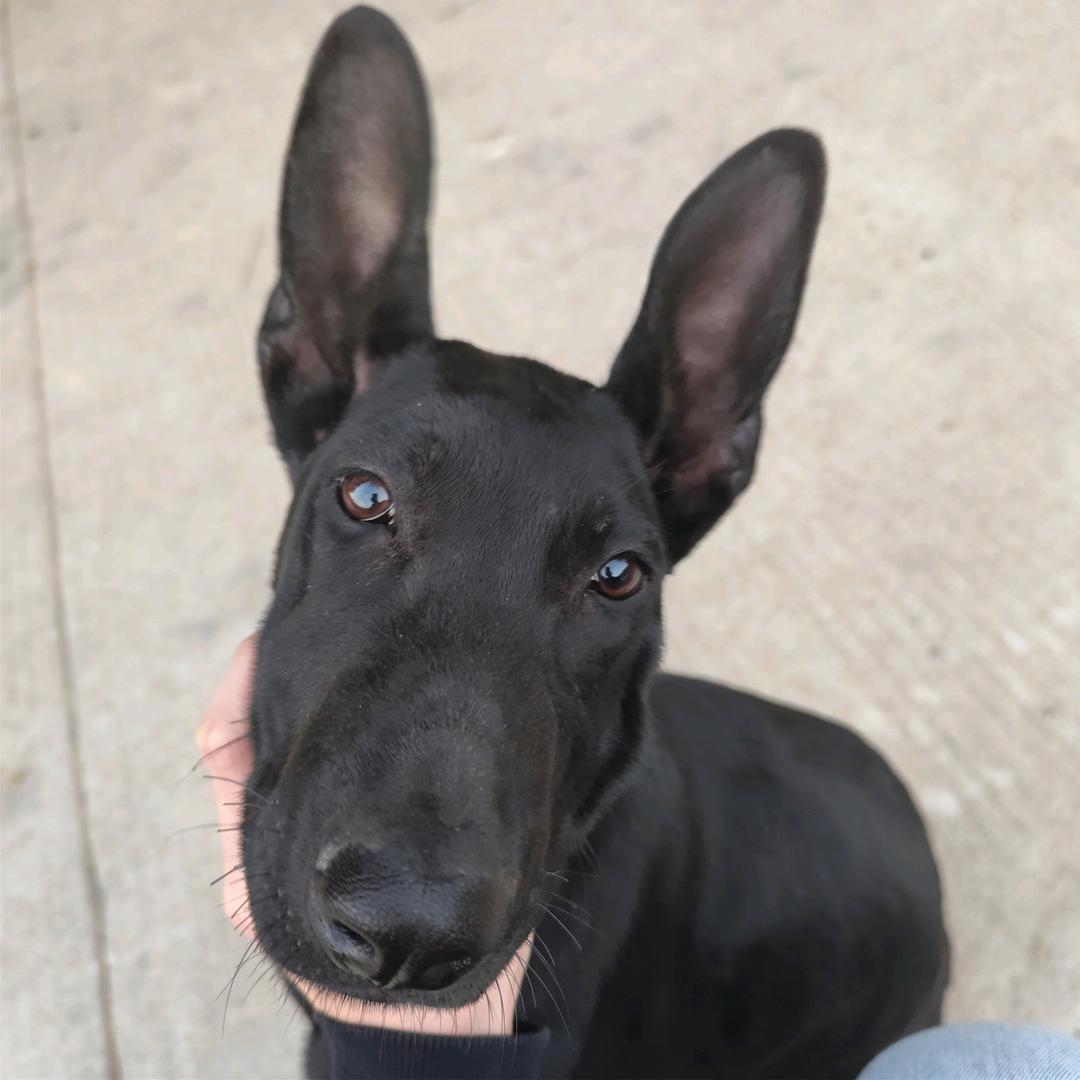 🌈国宝我在燃烧🌈