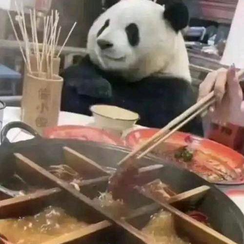我要睡了