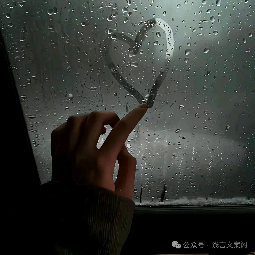 🥀ღ꯭一个人也挺好᭄ོ