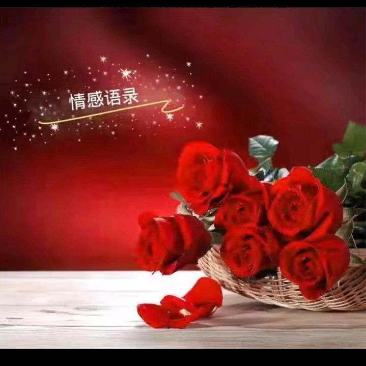 ✍️情感交友文案✍️