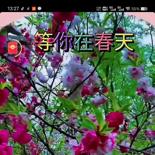 寻找有缘人，🤝🎠