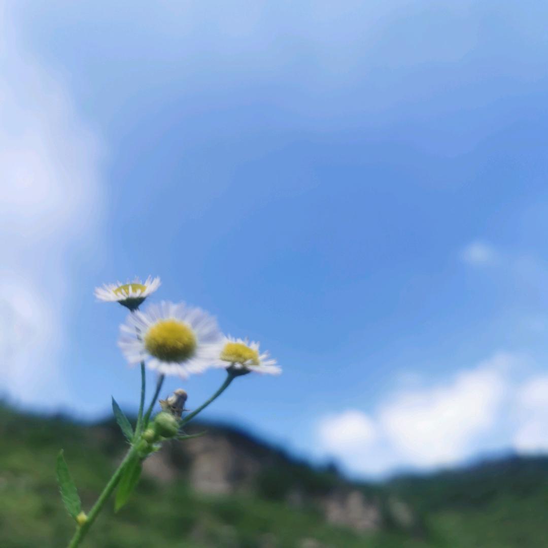 刚好