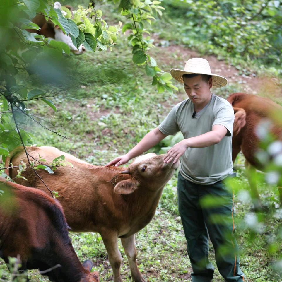 恩施土家菜.邓老兵