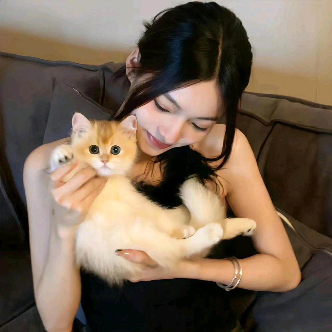 养猫咪的小蝎蝎