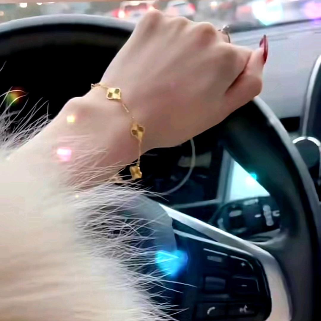 姑奶奶自己有驾照