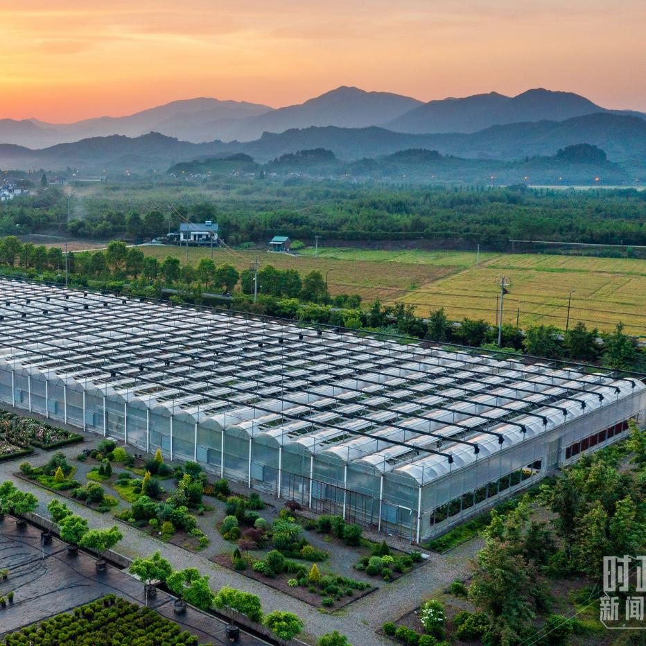 林海果树苗木基地