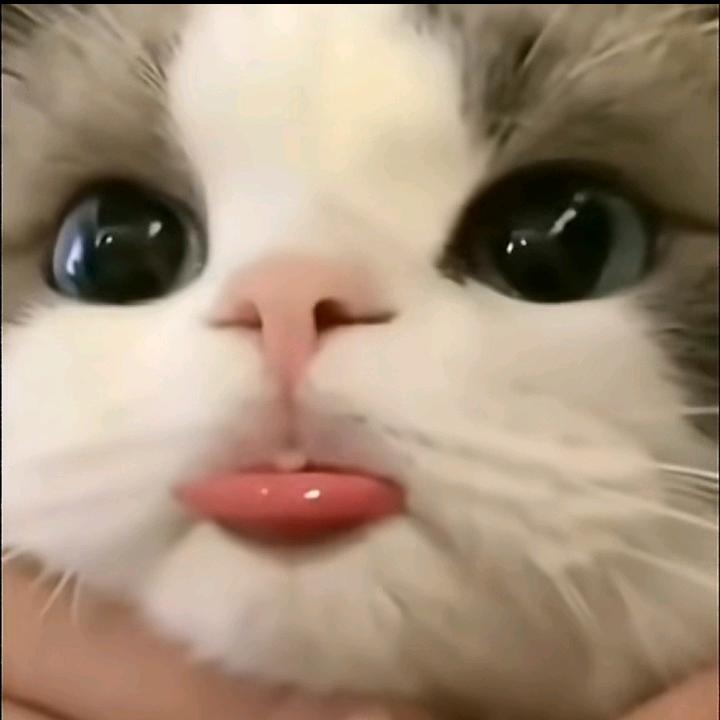 一颗心七秒情