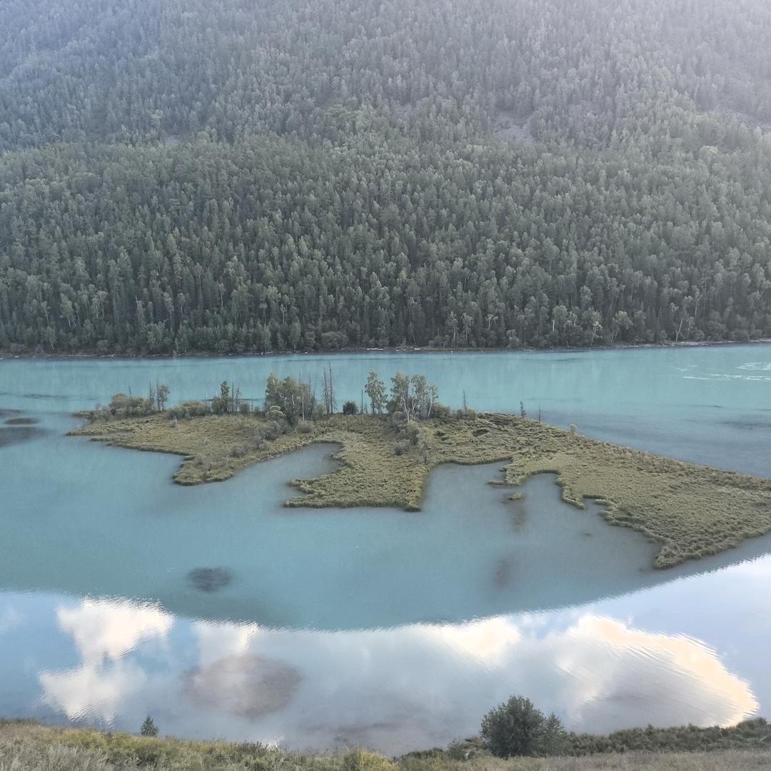 总有胖子想减肥