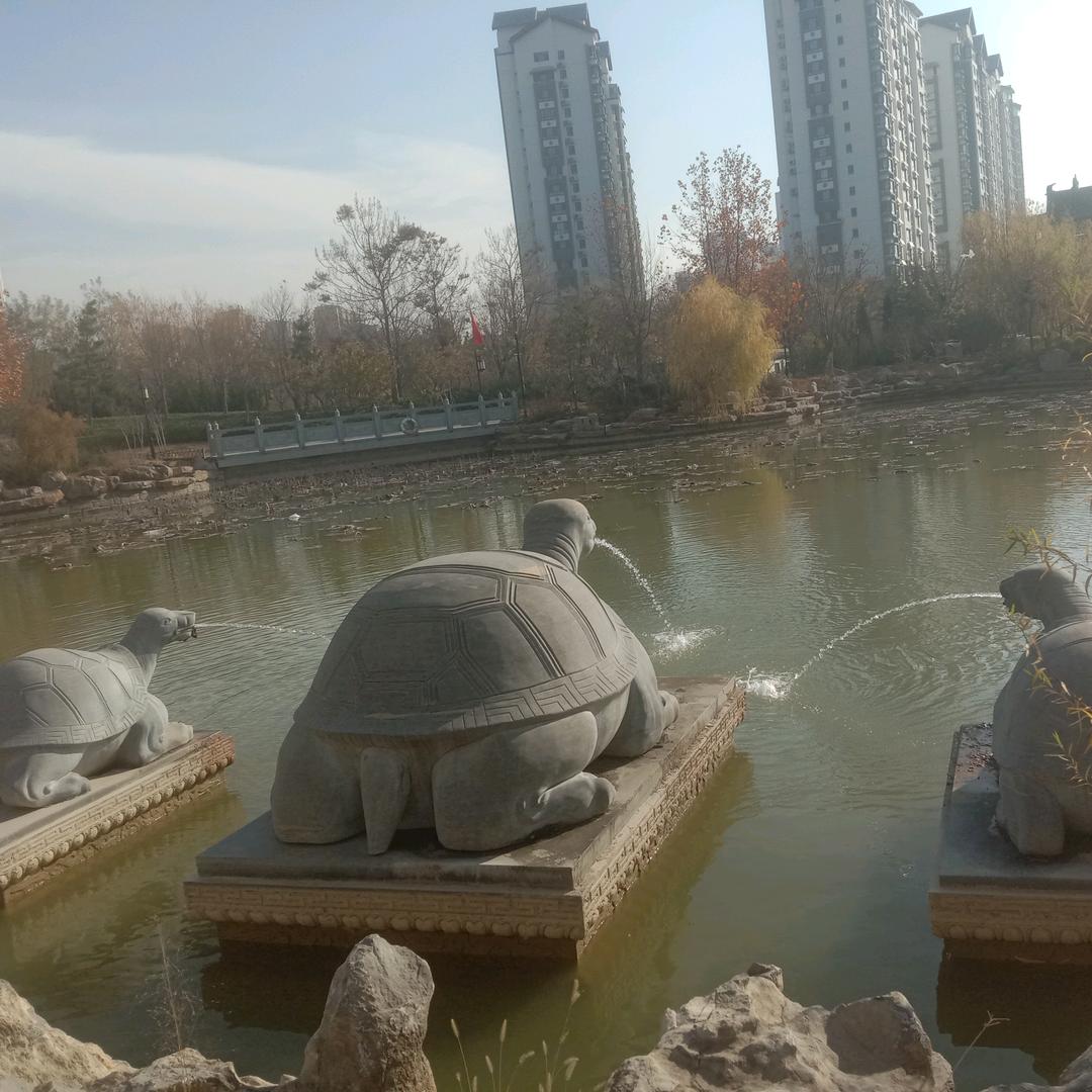 阳光明媚